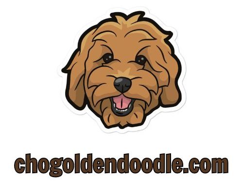 chogoldendoodle.com